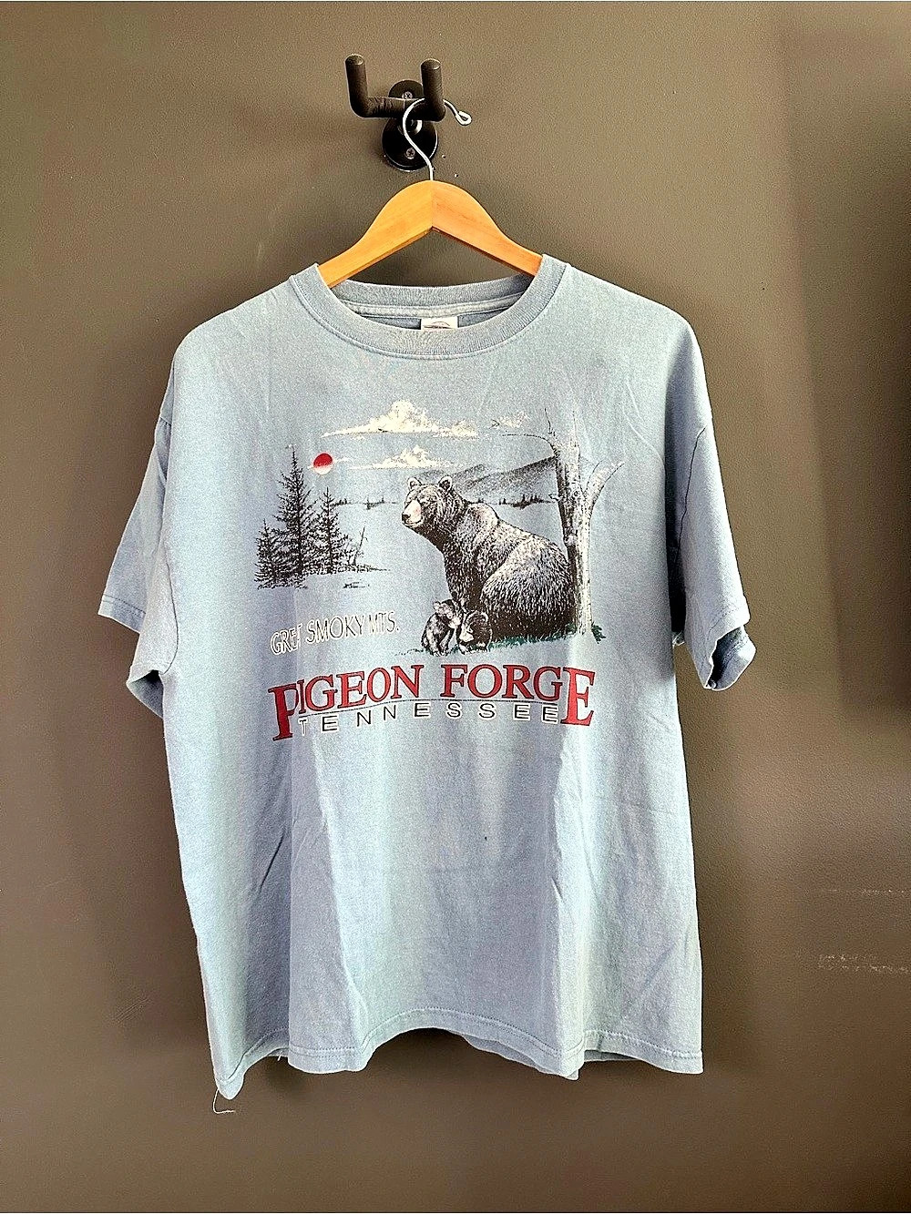 Delta Magnum Weight Pigeon Forge Tennessee Bear Graphic Tee Graphic Tee in Blue